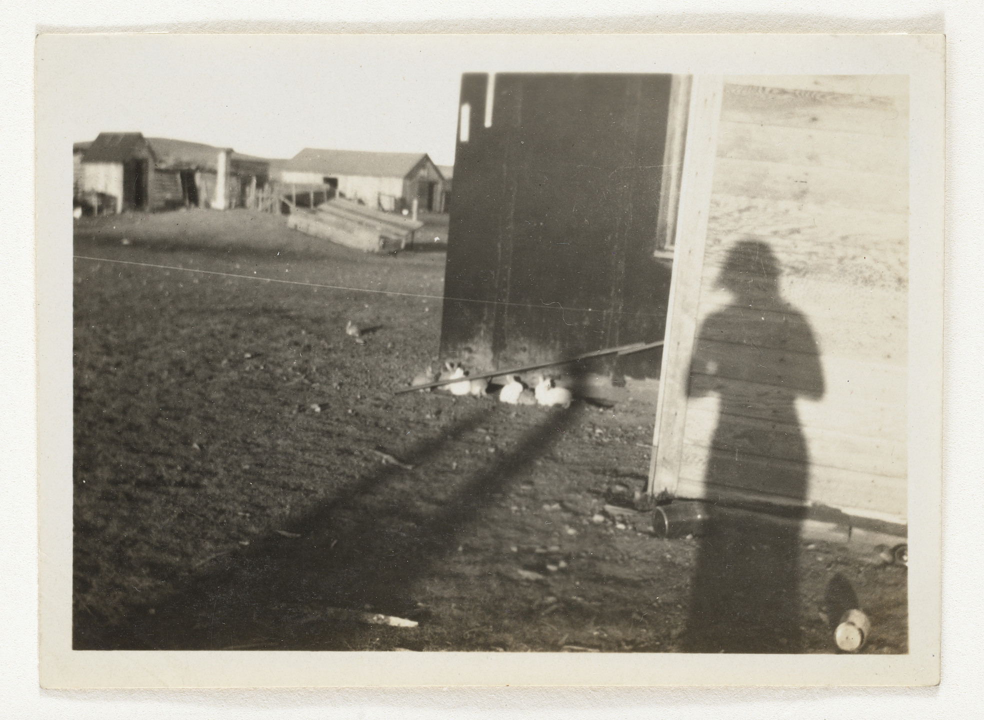 Unknown photographer. Untitled. n.d.