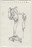 Adrian Piper. The Barbie Doll Drawings. 1967