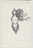 Adrian Piper. The Barbie Doll Drawings. 1967