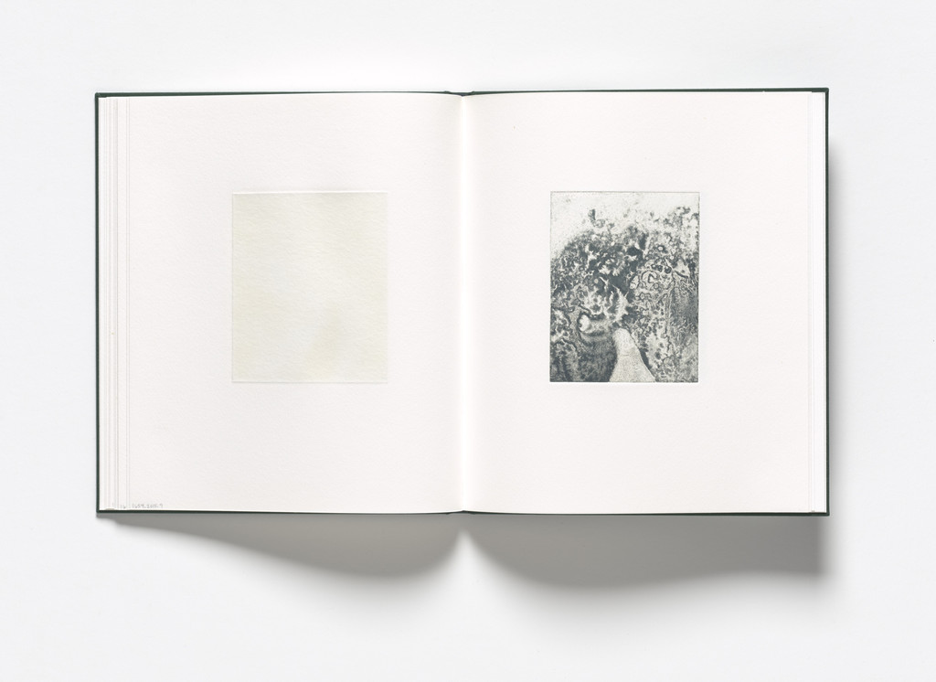 Untitled from Storm Trees