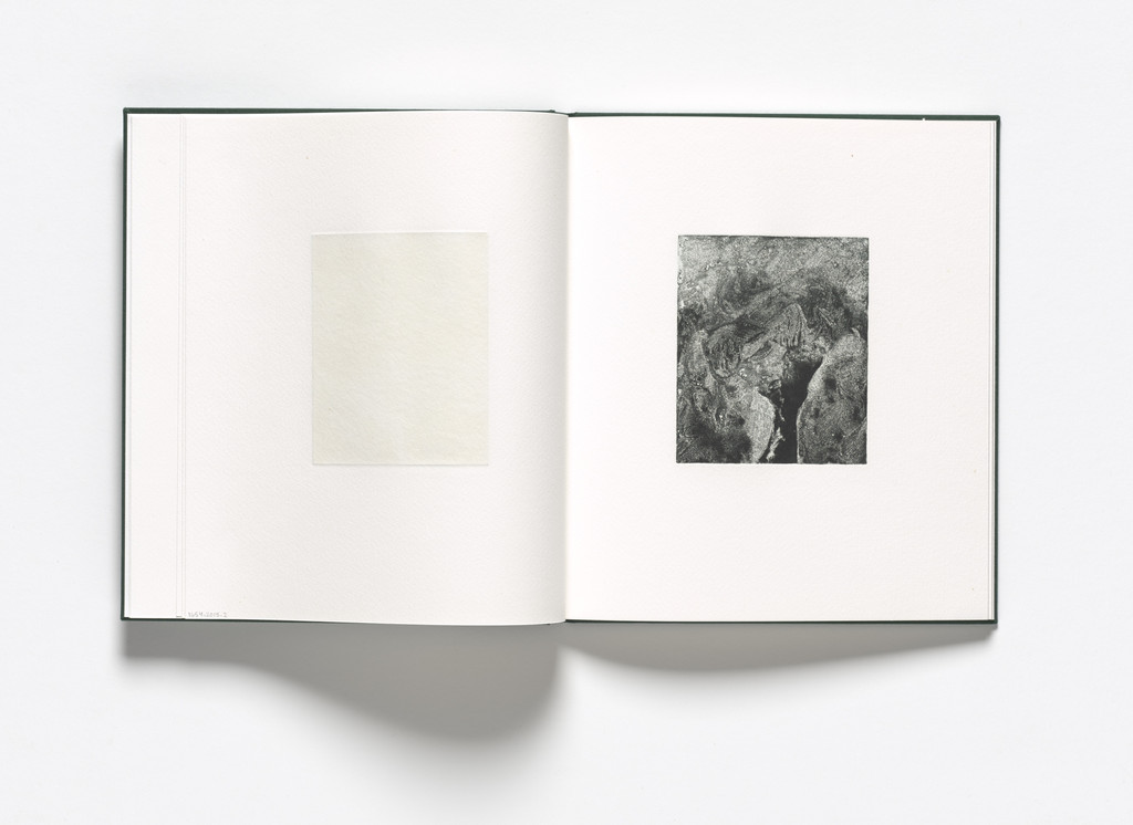 Untitled from Storm Trees