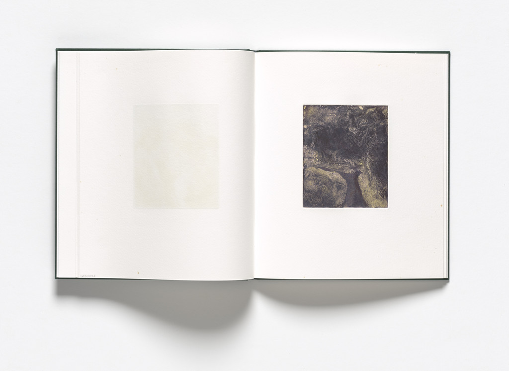 Untitled from Storm Trees