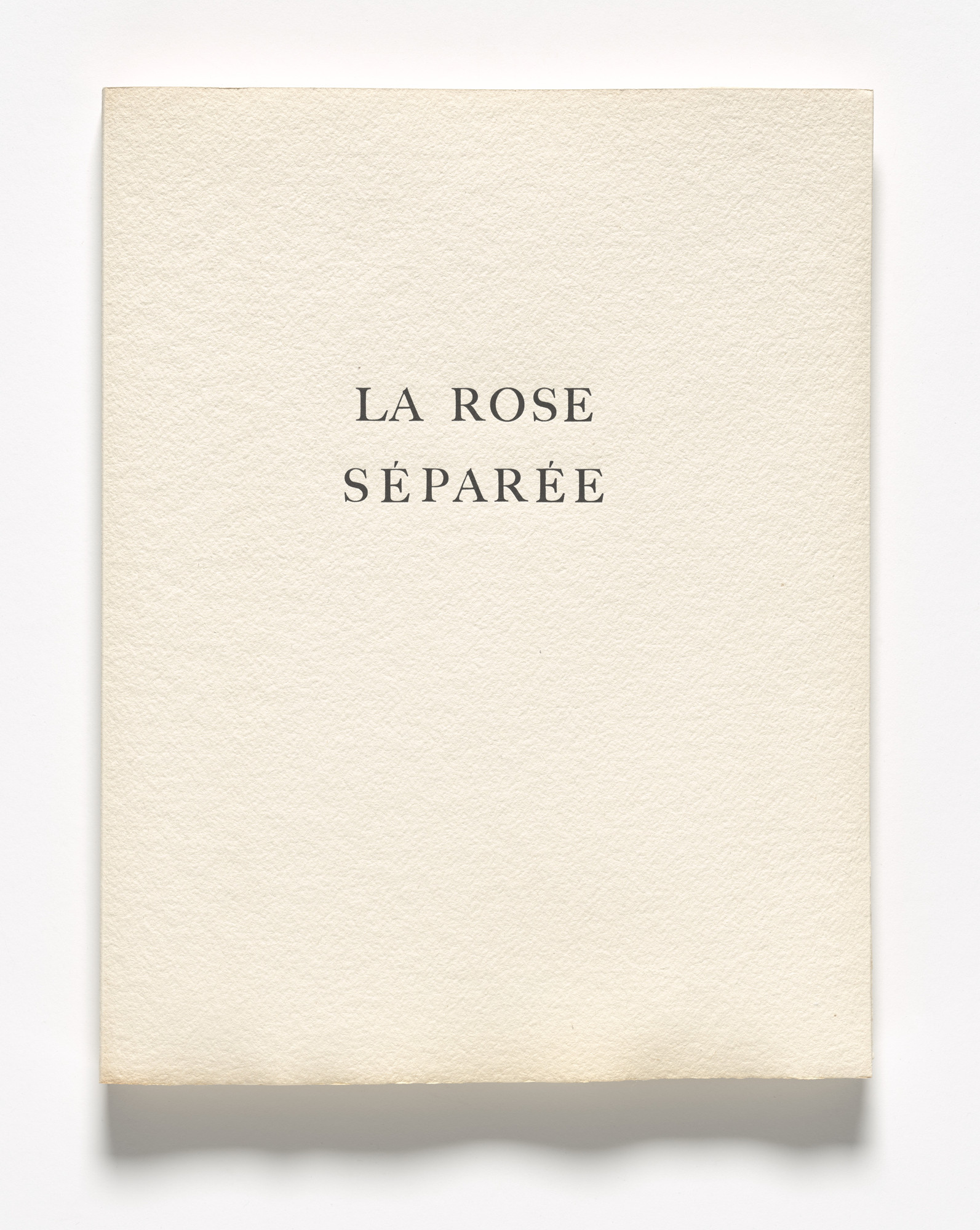 Enrique Zañartu. La Rose séparée