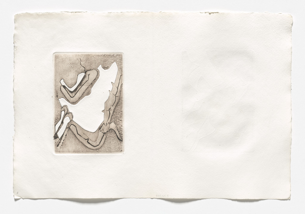 Plate (folio 13 verso) from Histoire des rechutes