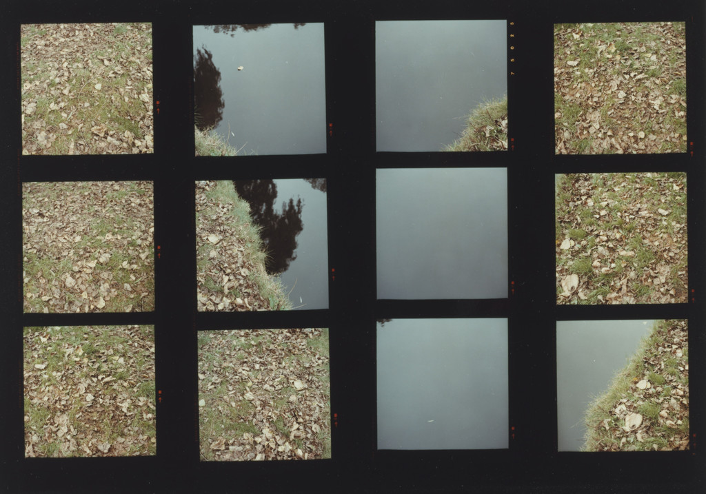 Structure Panoramas