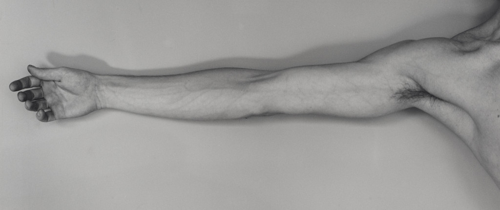 Arm (Self-Portrait)