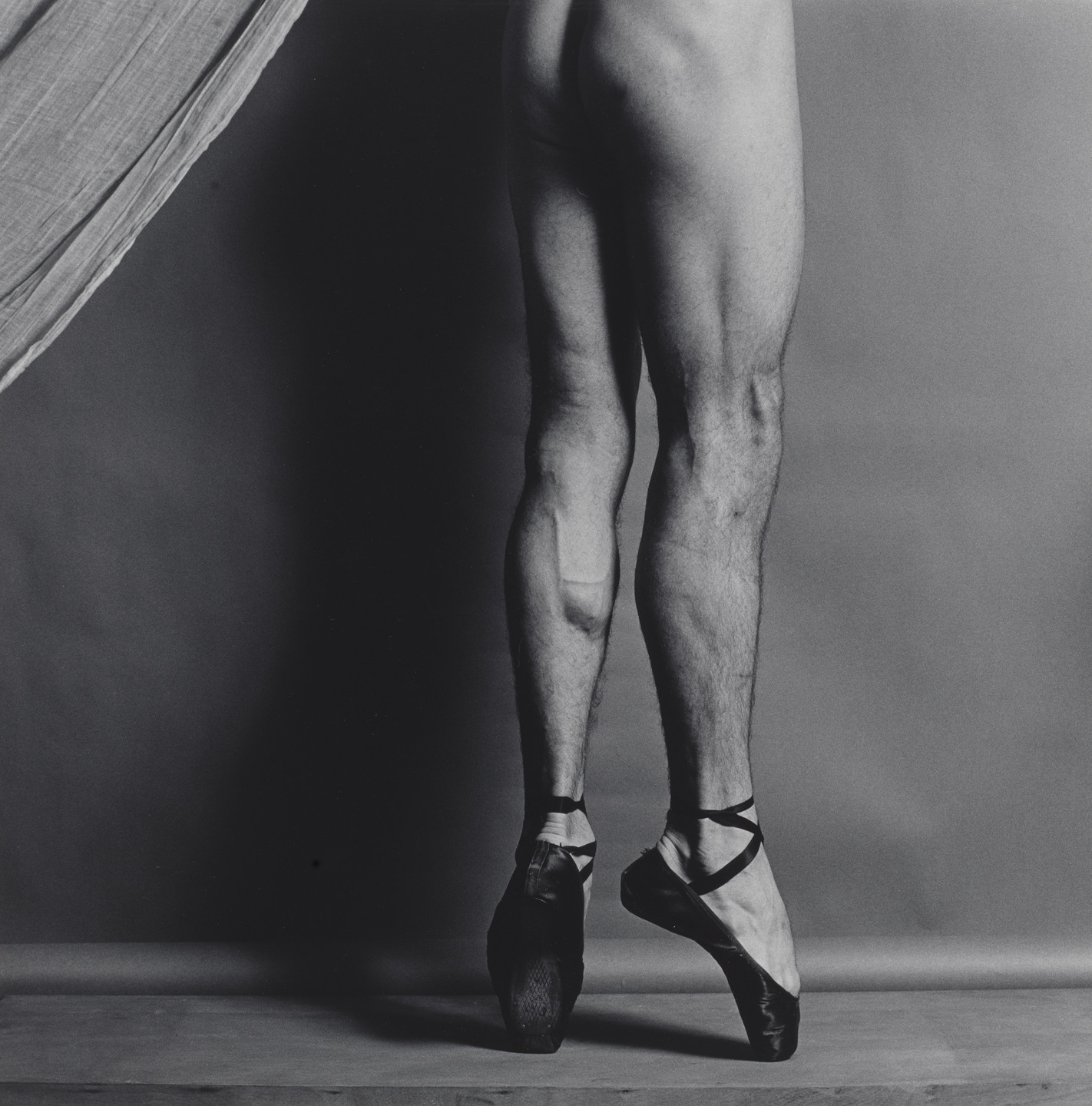 Robert Mapplethorpe. Phillip. 1979