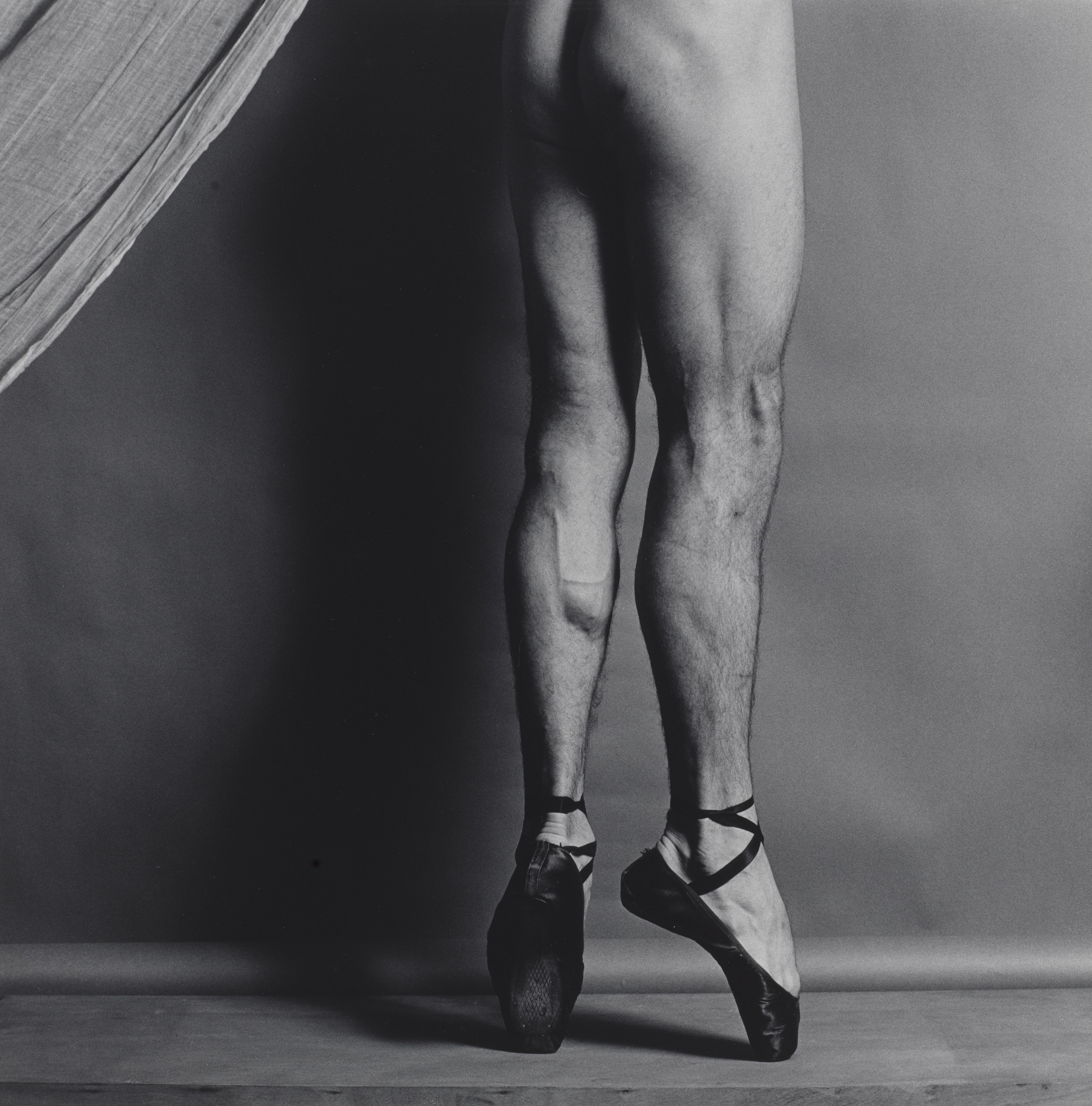 Robert Mapplethorpe. Phillip
