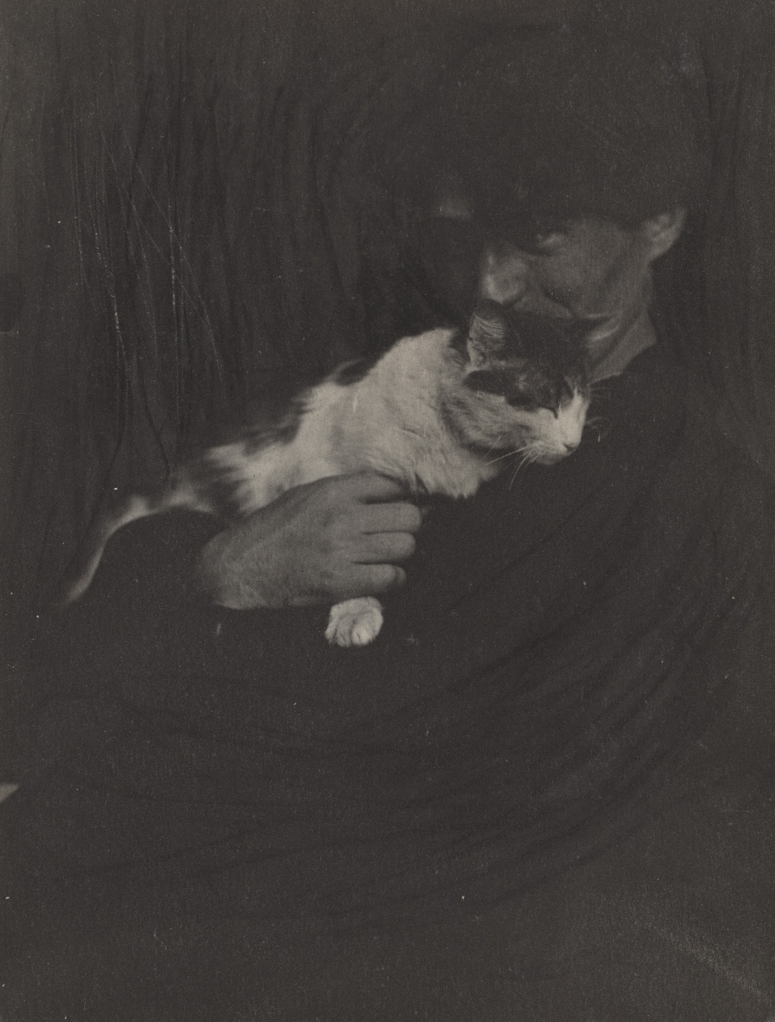 Gertrude Käsebier. Portrait of Edward Steichen with cat