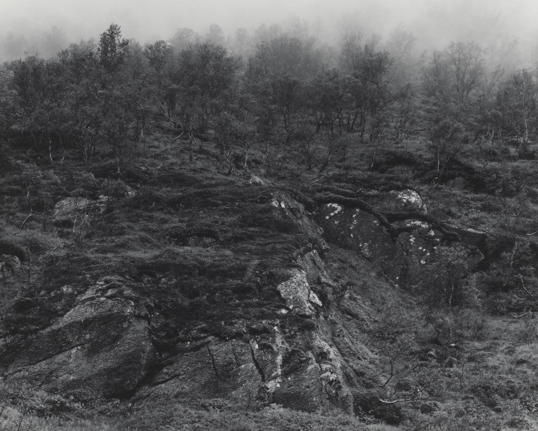 Warren Krupsaw. Norway. 1966