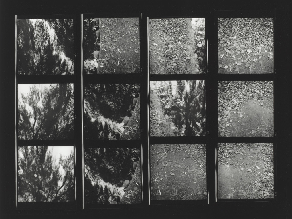 Structure Panoramas
