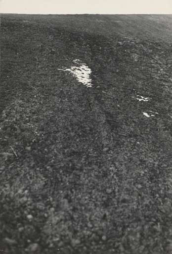 Patches of Snow