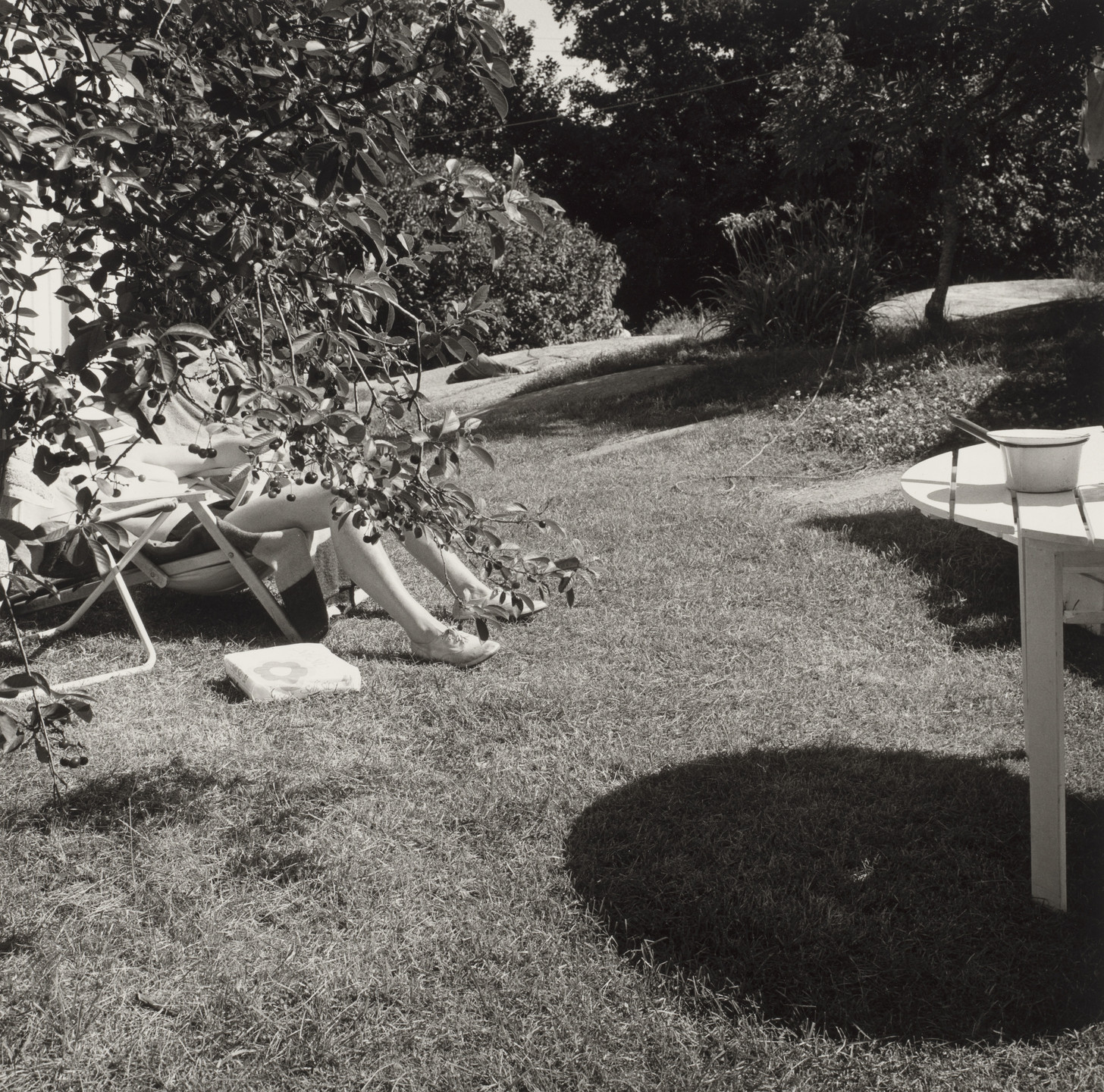 dag-alveng-cherries-hvasser-1981-moma