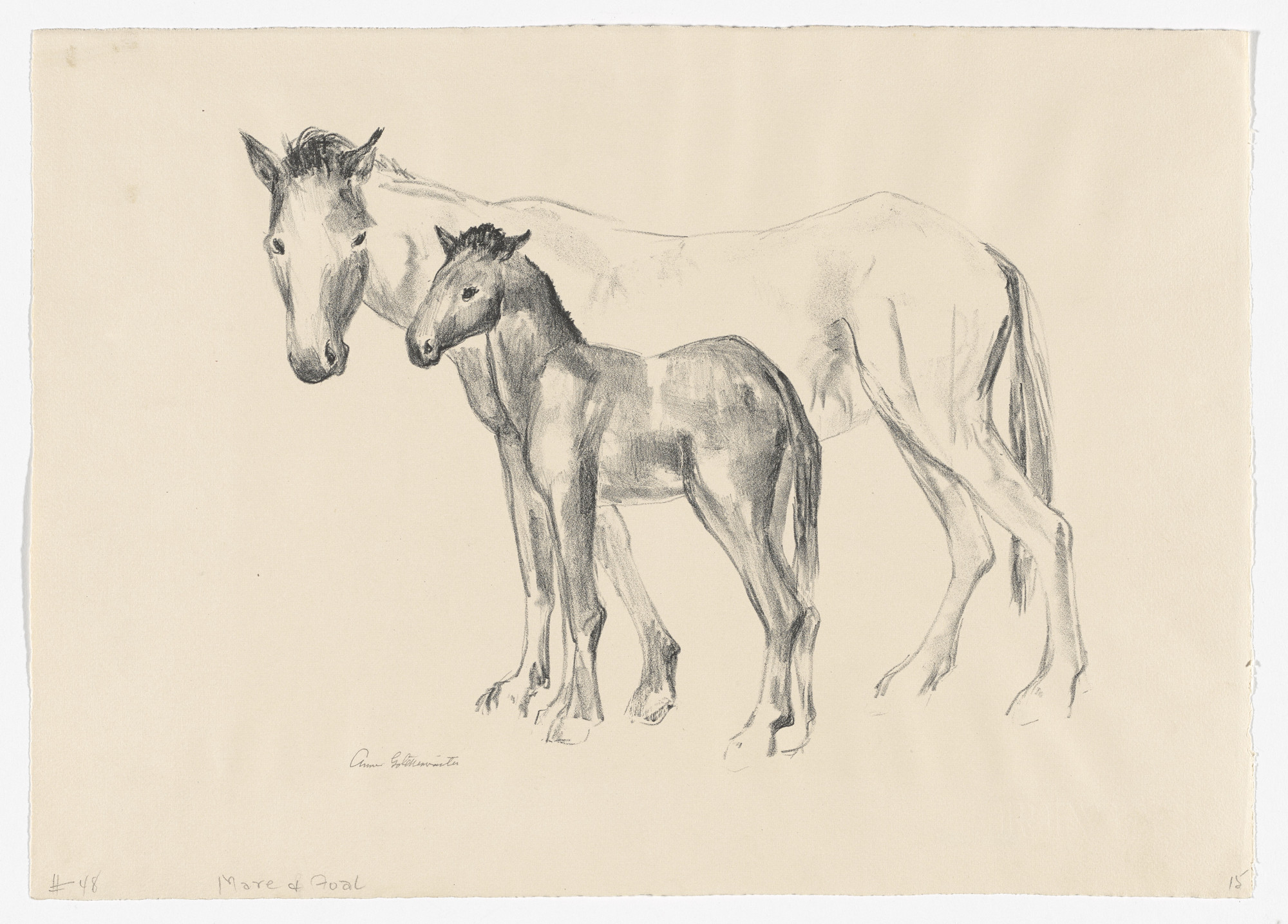 Anne Goldthwaite. Mare and Foal