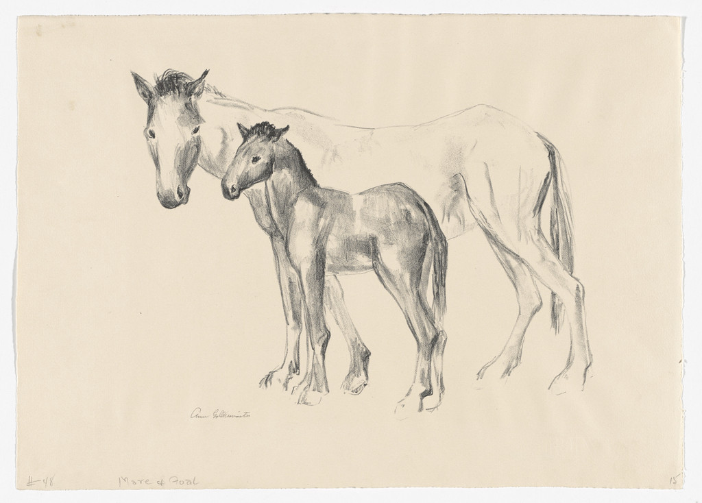 Mare and Foal