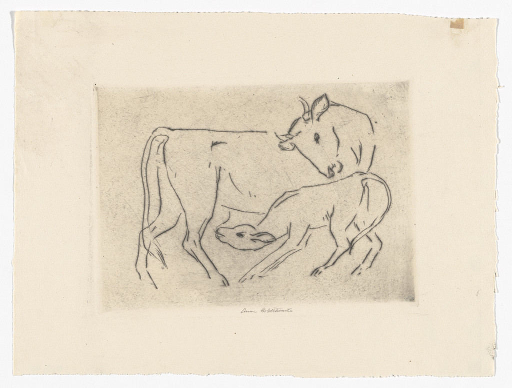 Cow and Calf