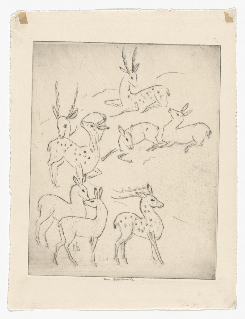 Herd of Deer