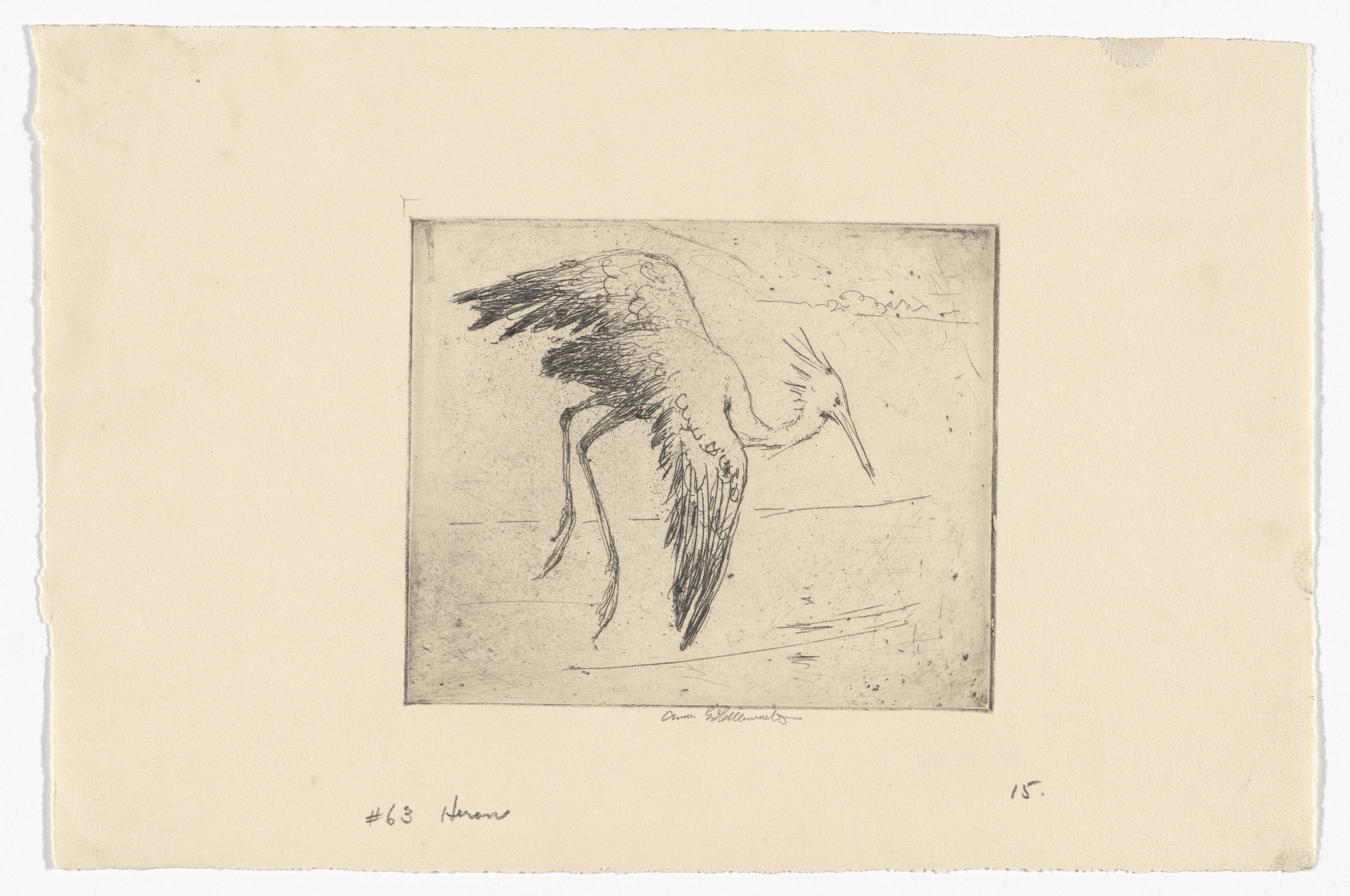 Anne Goldthwaite. Heron Rising Over the Alabama