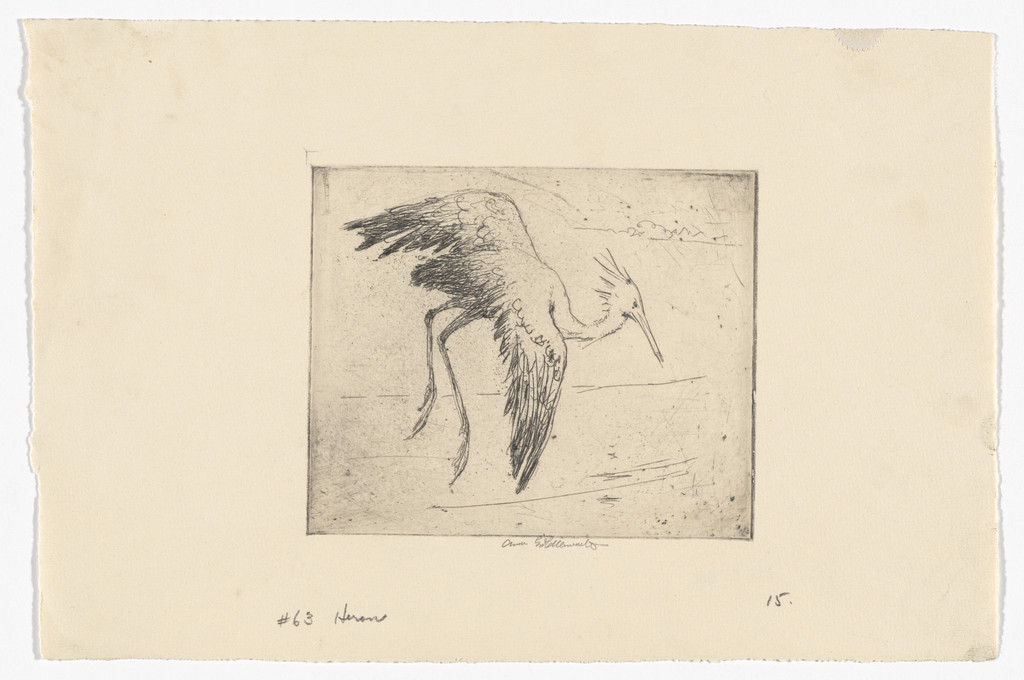 Heron Rising Over the Alabama