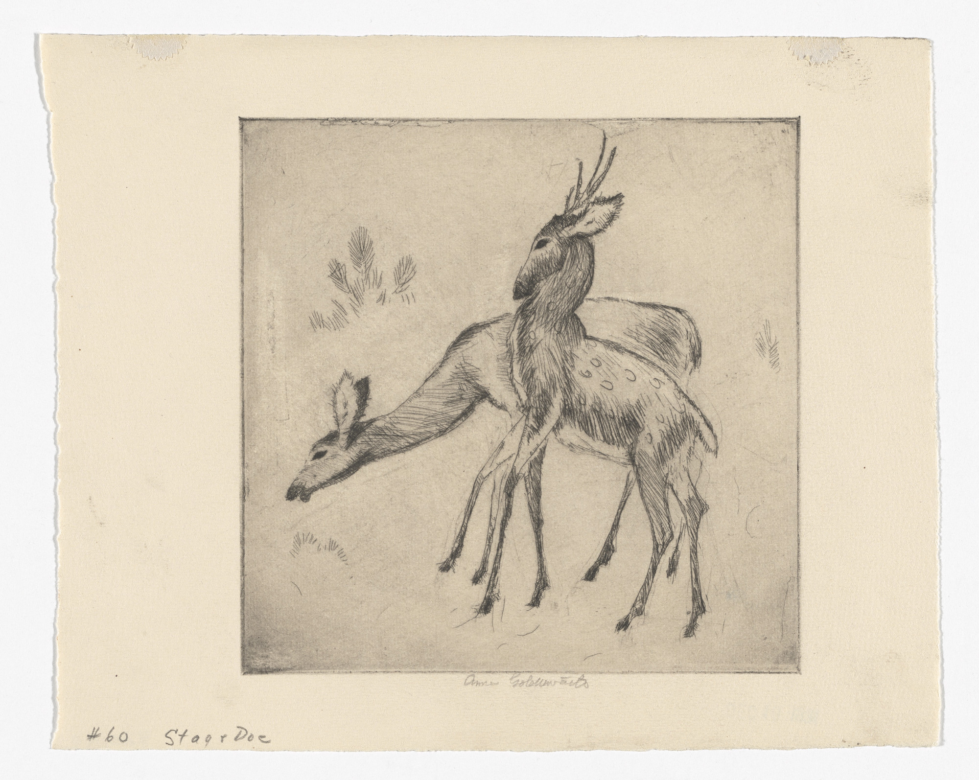 Anne Goldthwaite. Stag and Doe (No. 2)