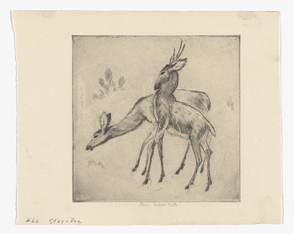 Stag and Doe (No. 2)
