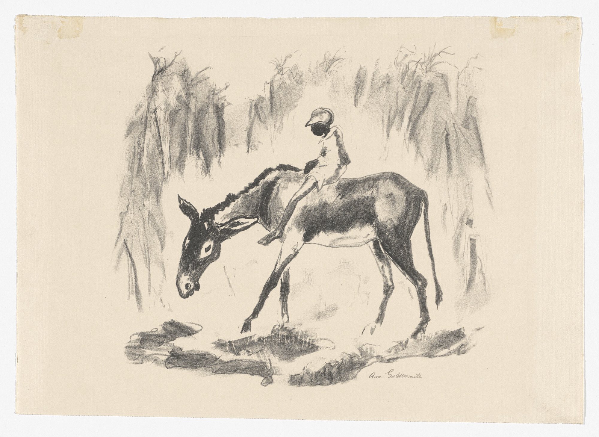 Anne Goldthwaite. Waterhole