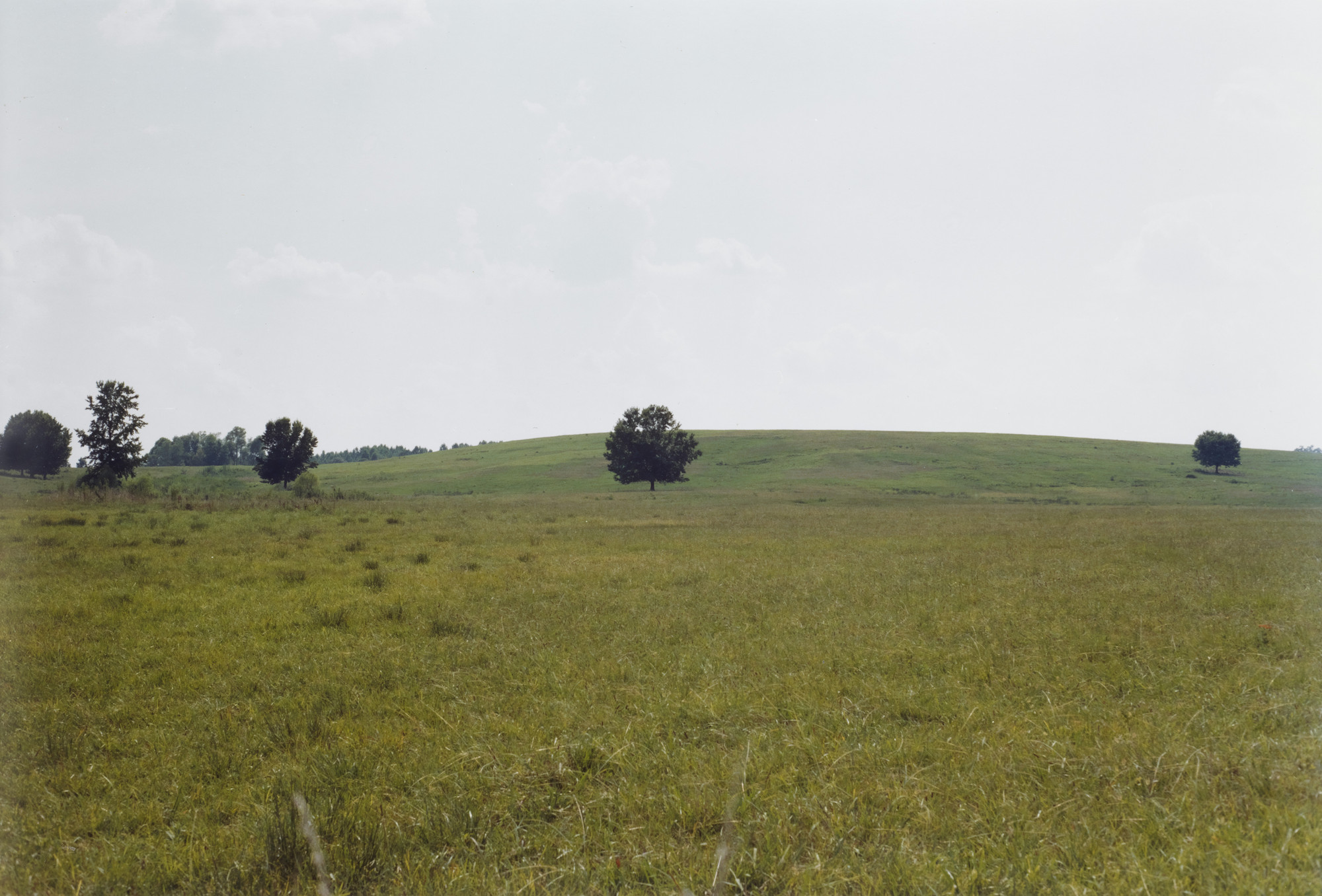 William Eggleston. Mississippi