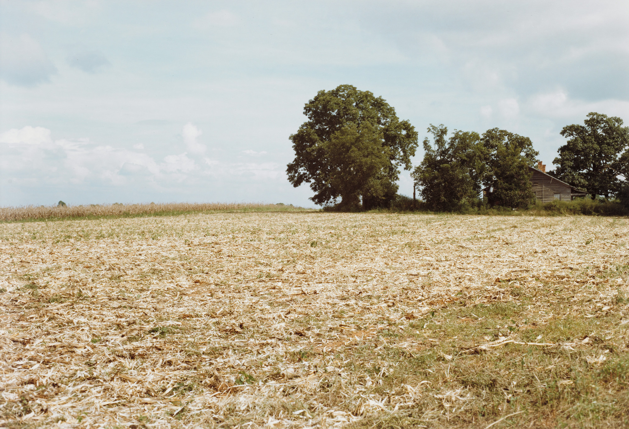 William Eggleston. Between Plains and Friendship, Georgia