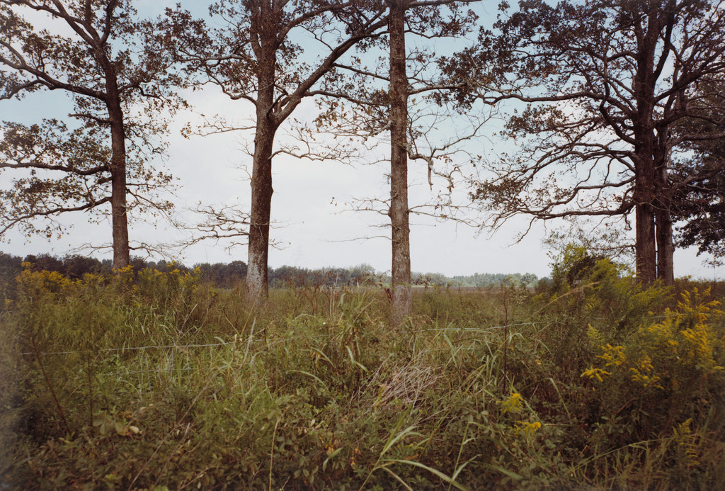 Sumter, Georgia