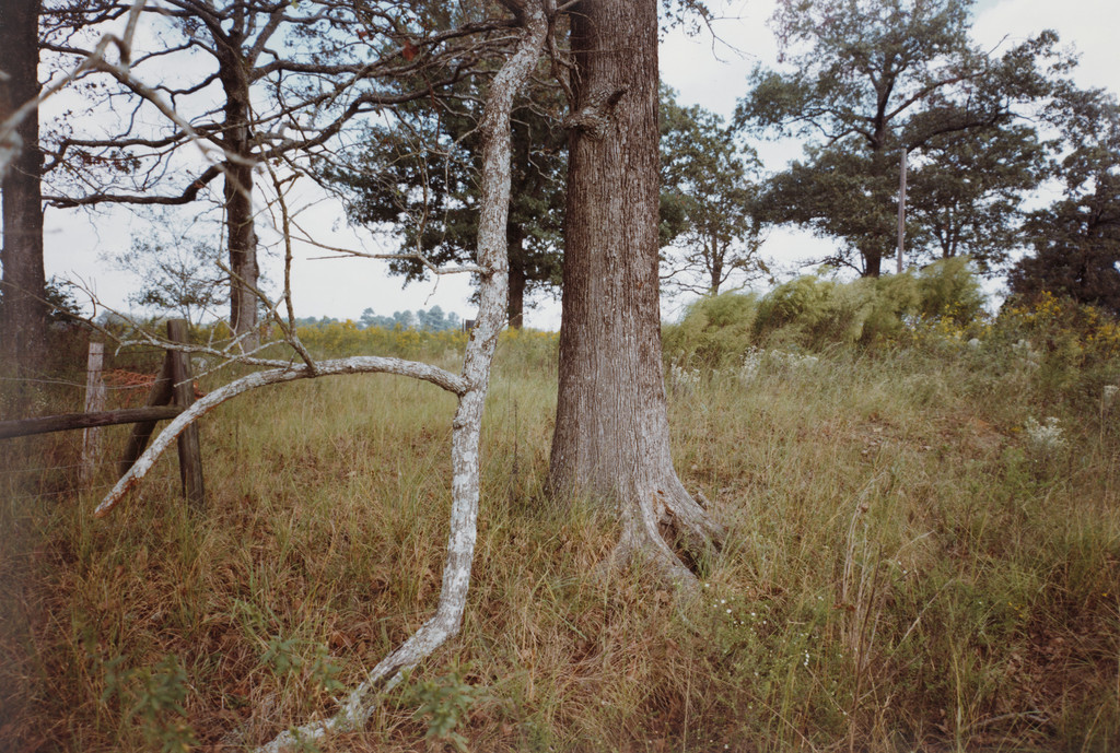 Sumter, Georgia