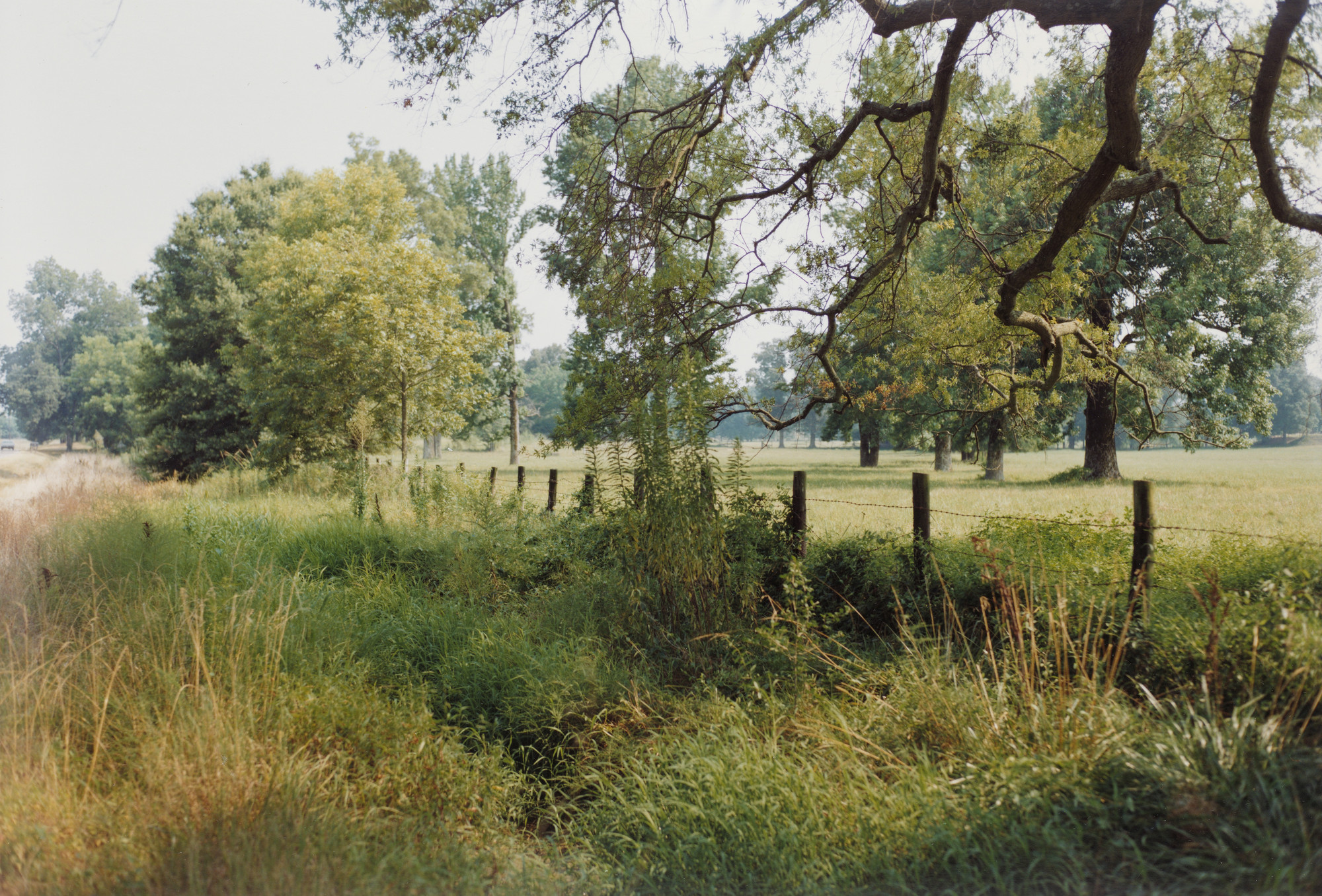 William Eggleston. Mississippi