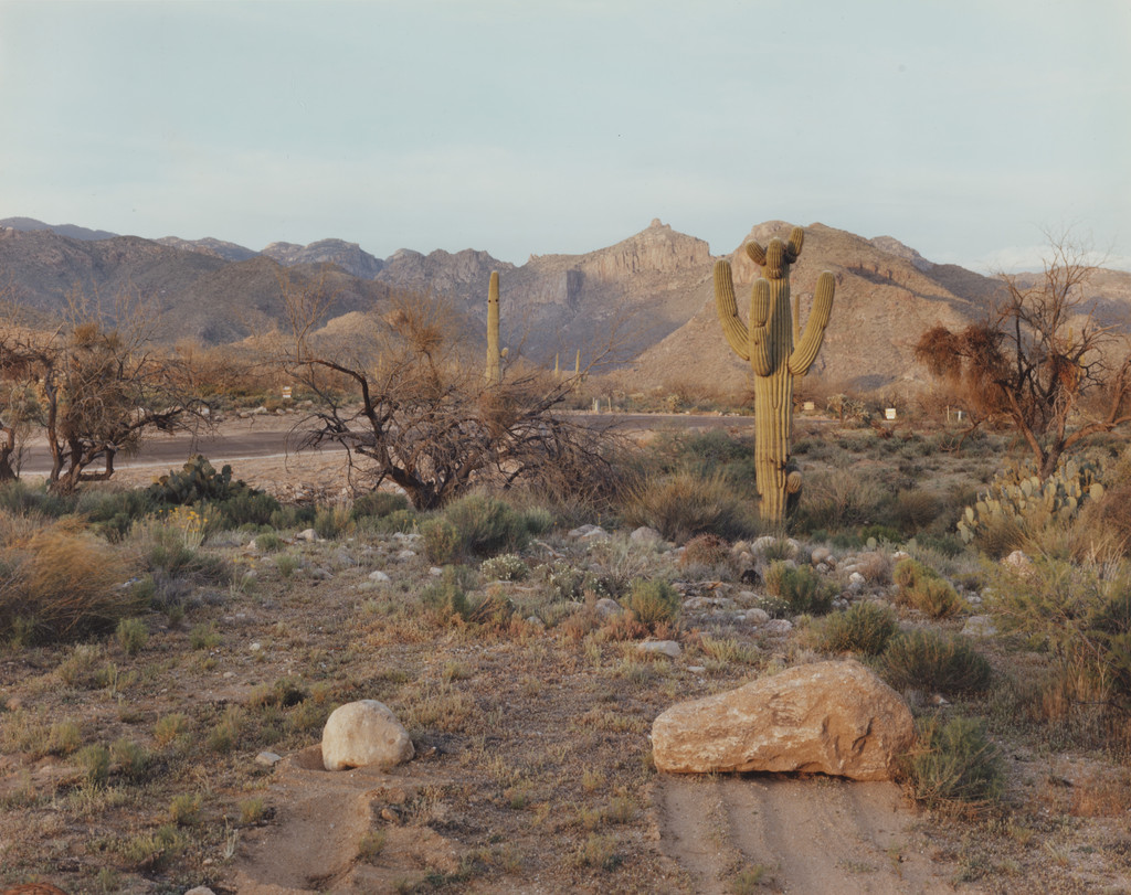 Near Tuscon, Arizona