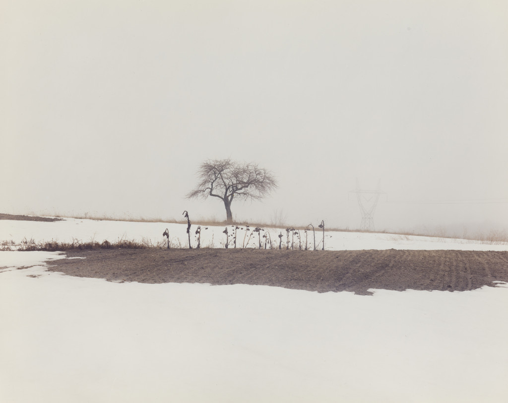 Near Interlochen, Michigan