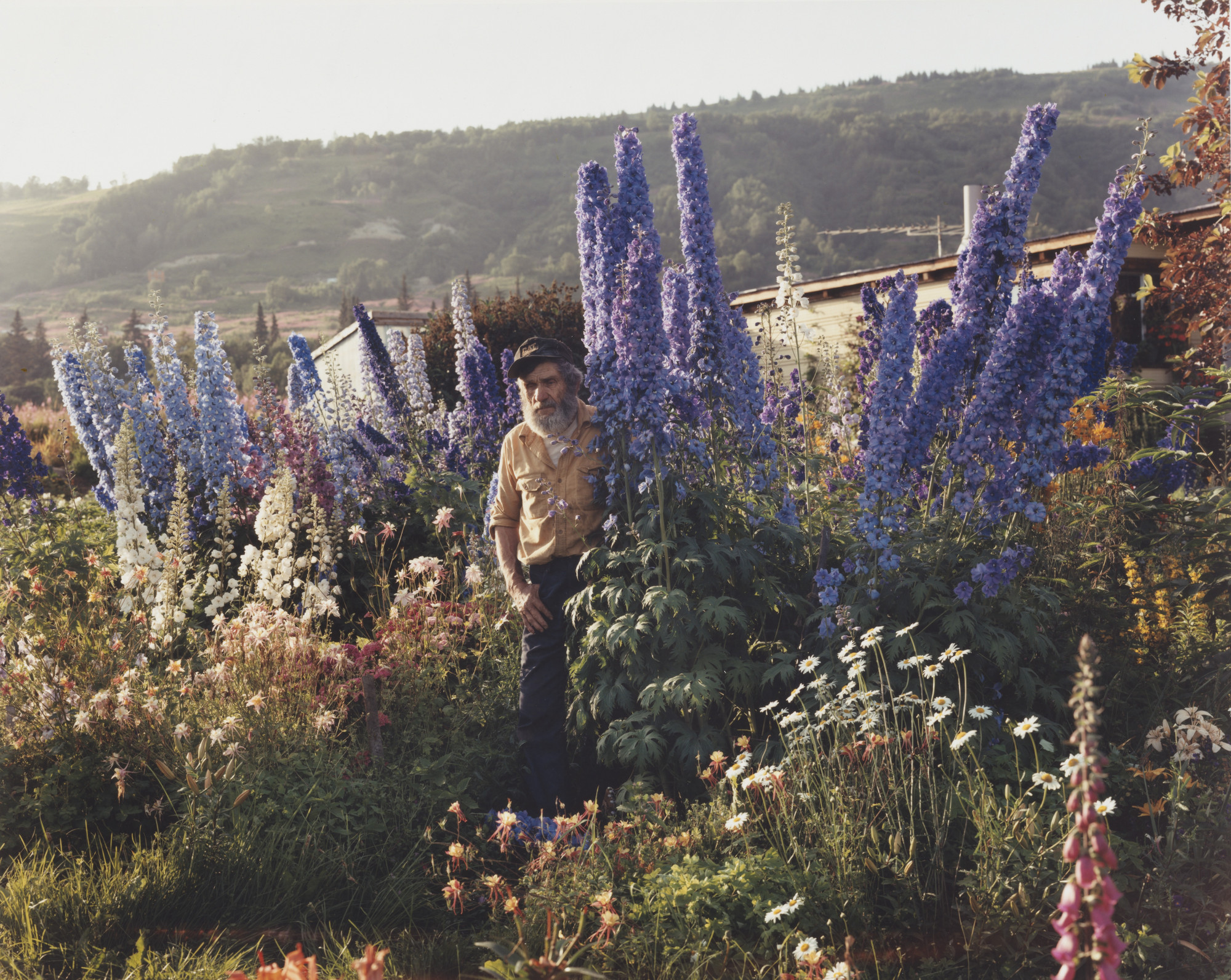 Joel Sternfeld. A Blind Man in His Garden, Homer, Alaska. July