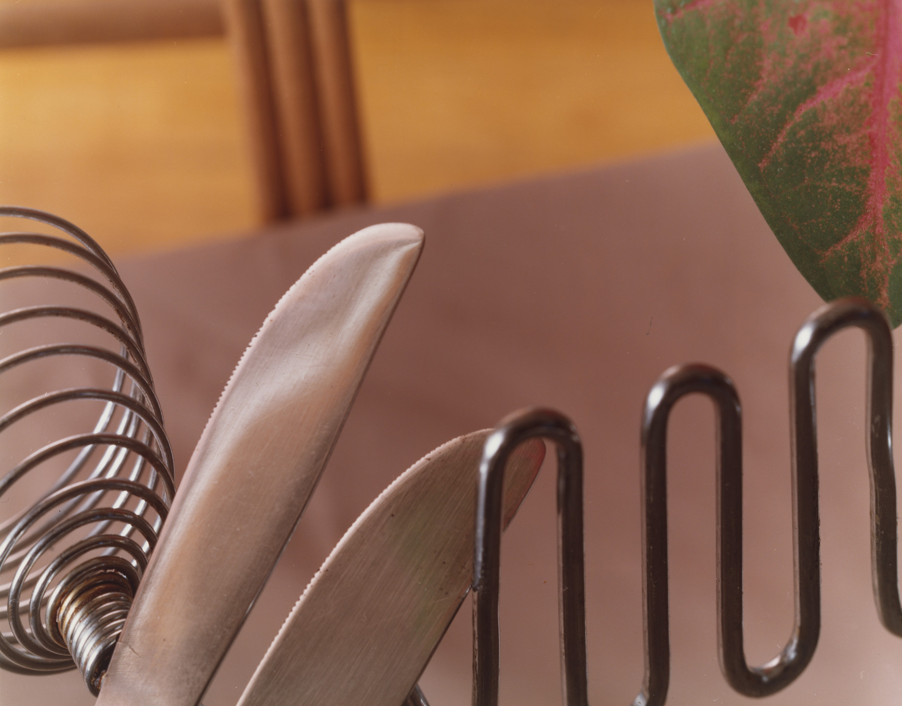 Jan Groover. Untitled. 1978 | MoMA