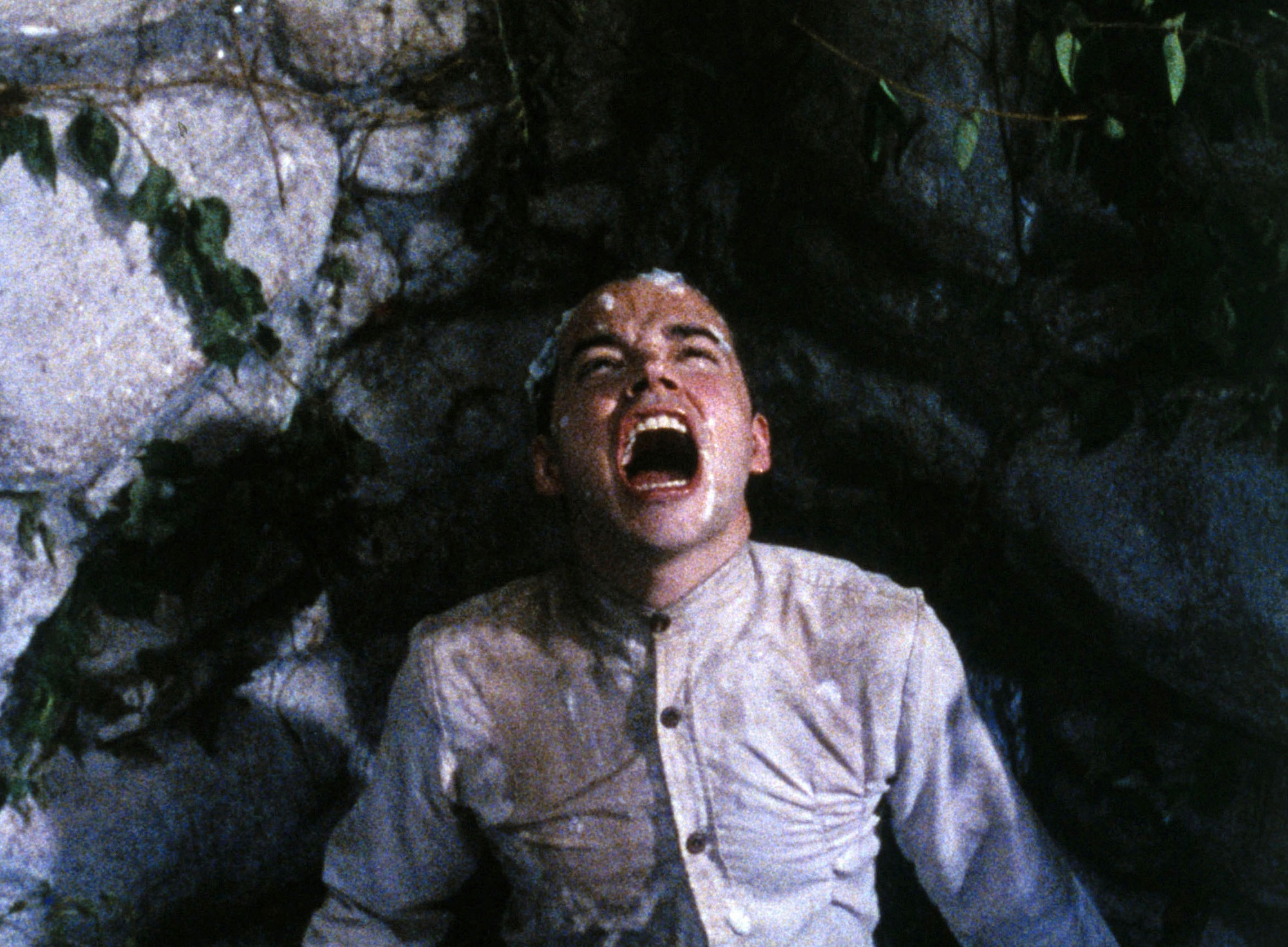 Todd Haynes. Poison