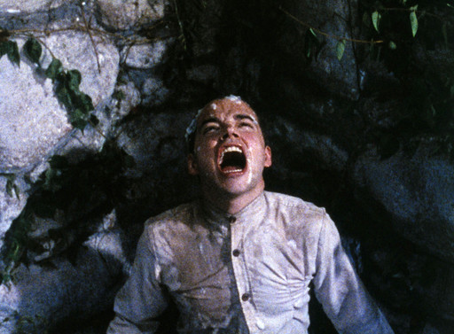 Todd Haynes. Poison