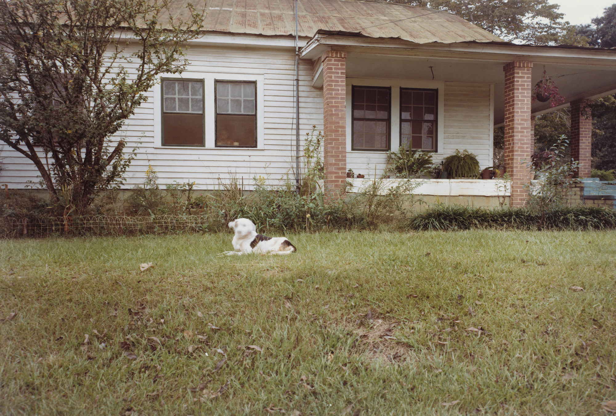 William Eggleston. Andersonville, Georgia