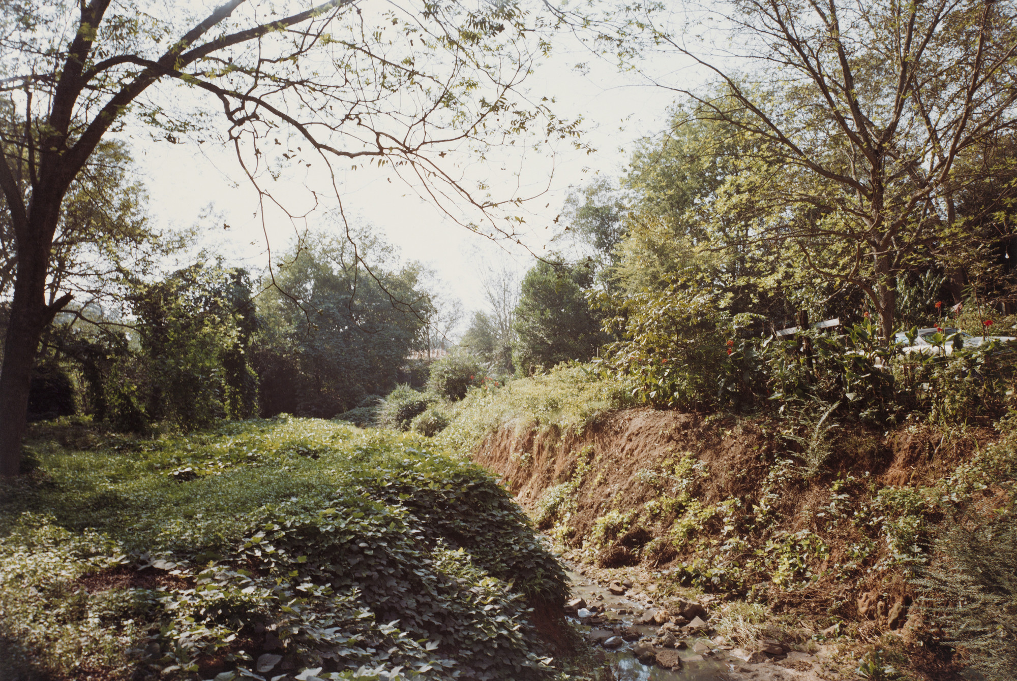 William Eggleston. Near Americus, Georgia