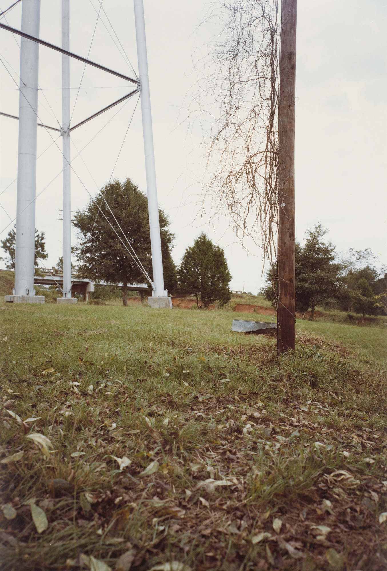 William Eggleston. Andersonville, Georgia
