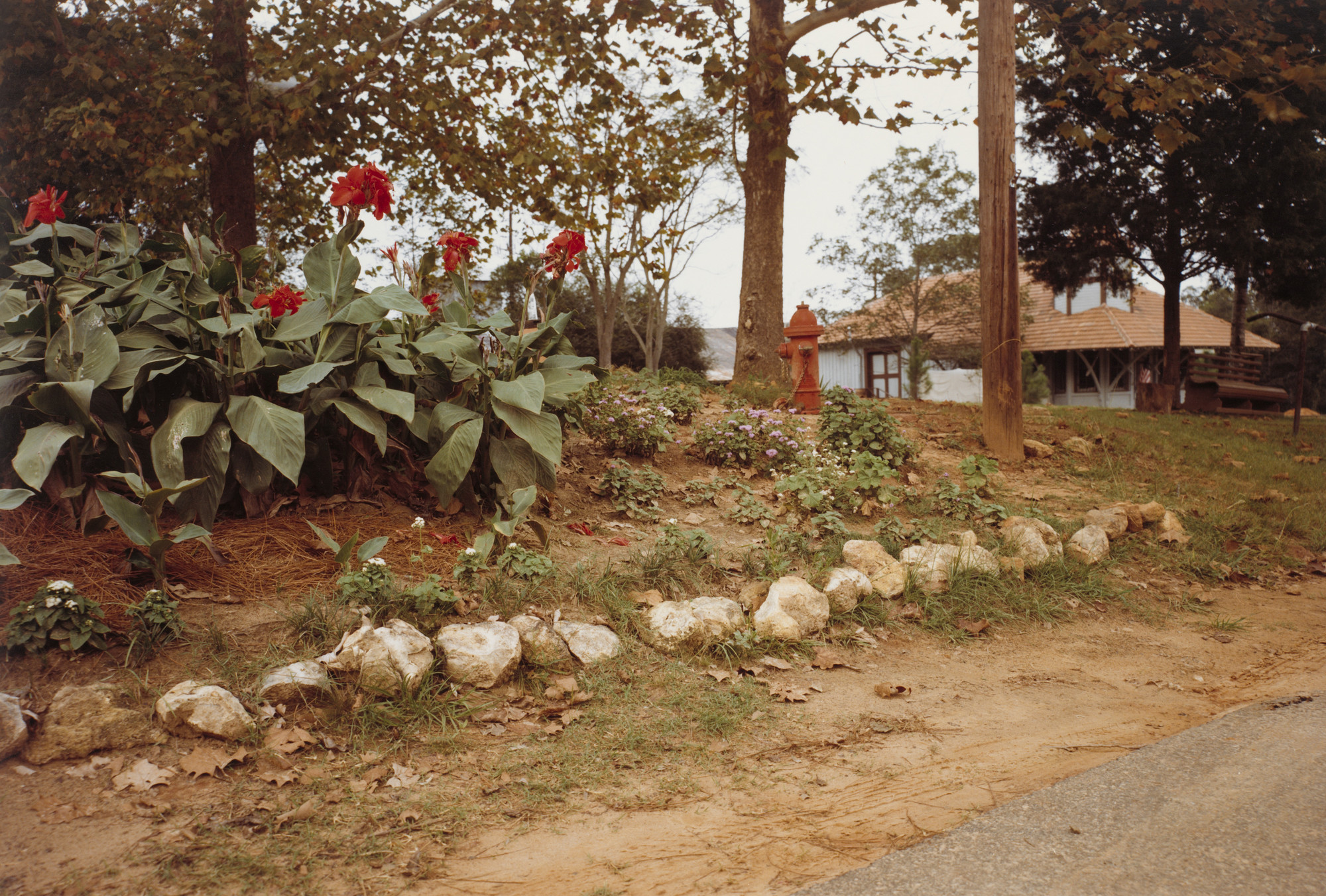 William Eggleston. Andersonville, Georgia