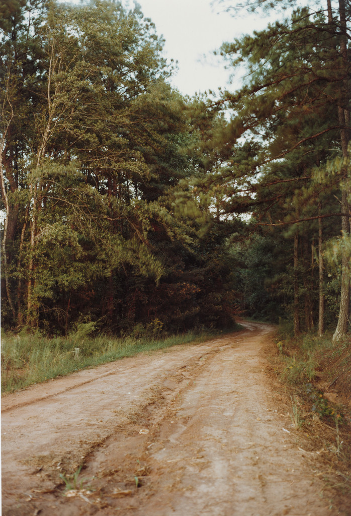 South of Americus, Georgia