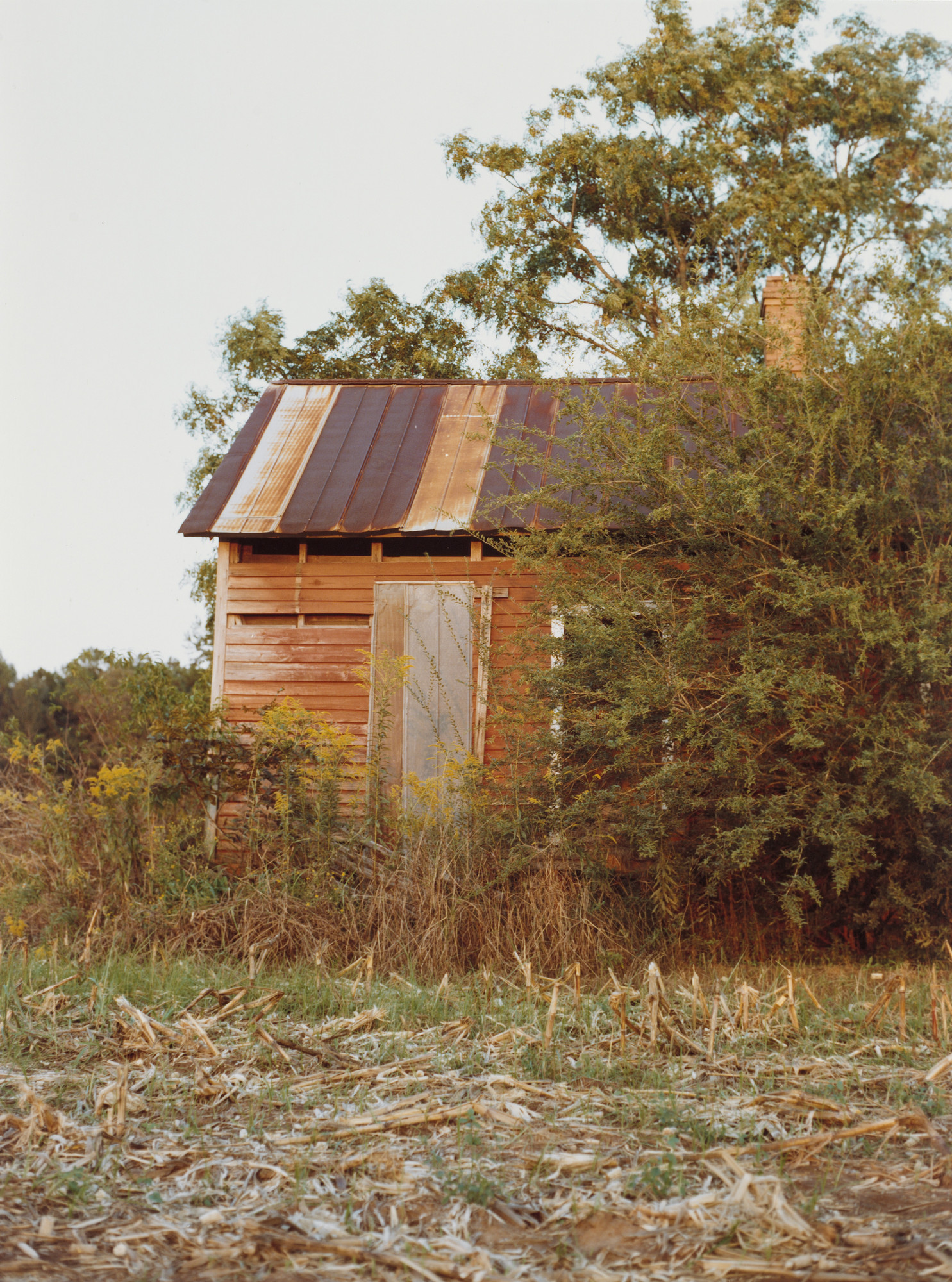 William Eggleston. Near Americus, Georgia