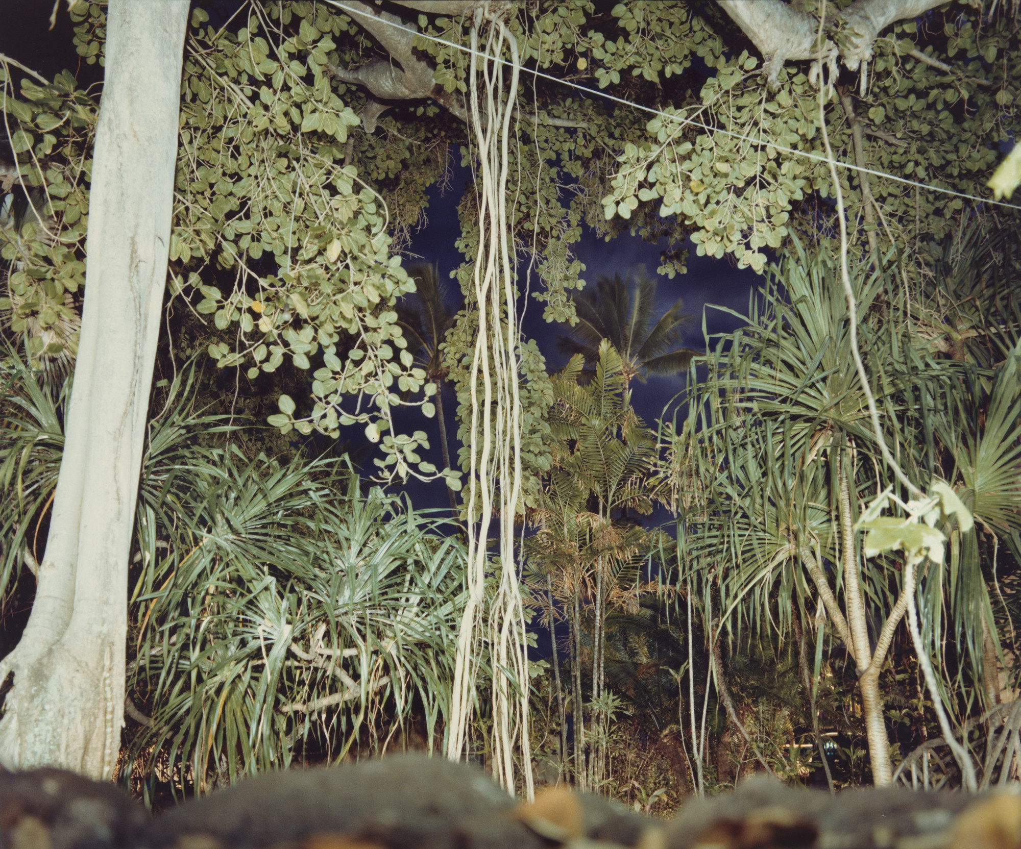 Richard Misrach. Hawaii IX