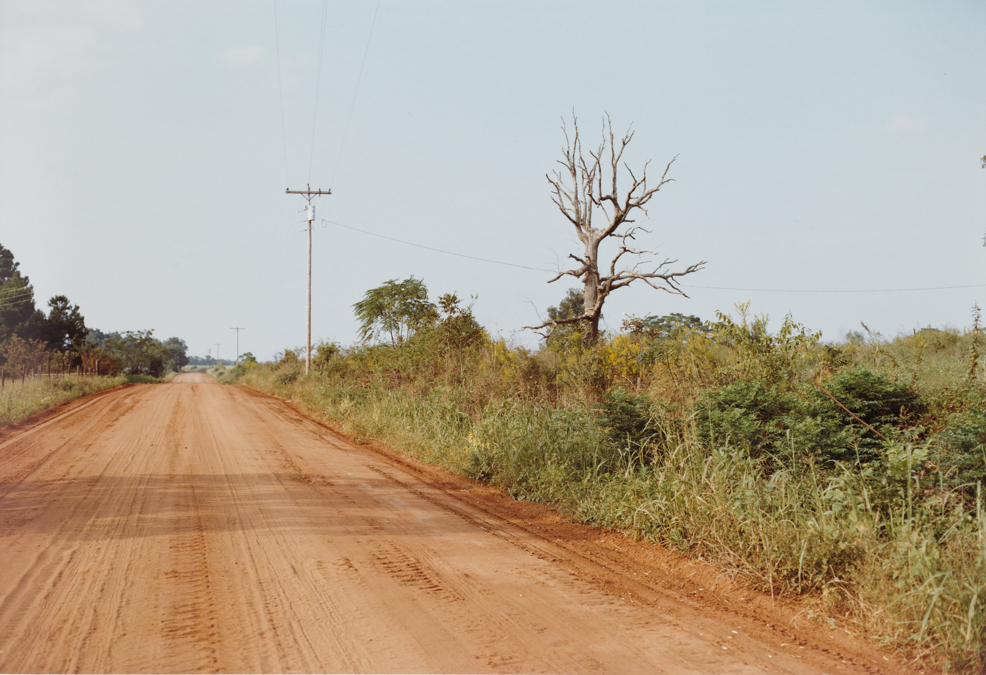 William Eggleston. Facing North, Edge of Plains, Georgia