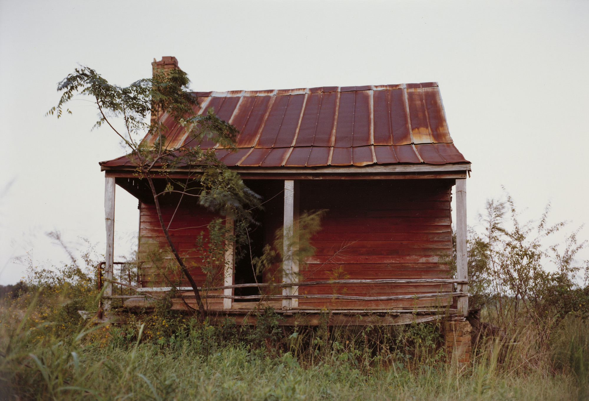 William Eggleston. Near Americus, Georgia