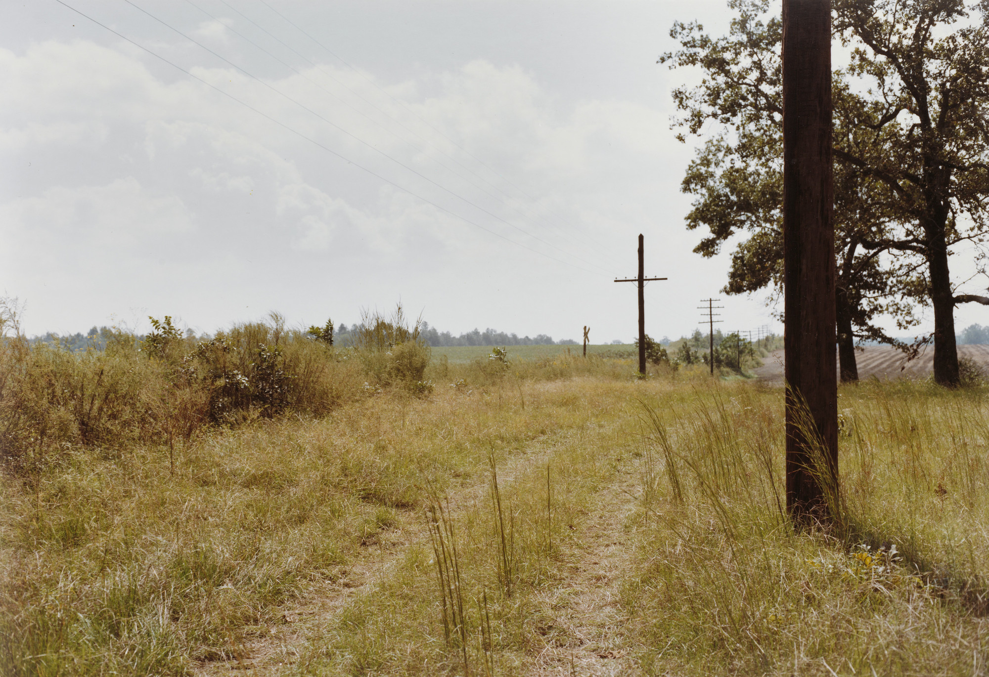 William Eggleston. Sumter, Georgia
