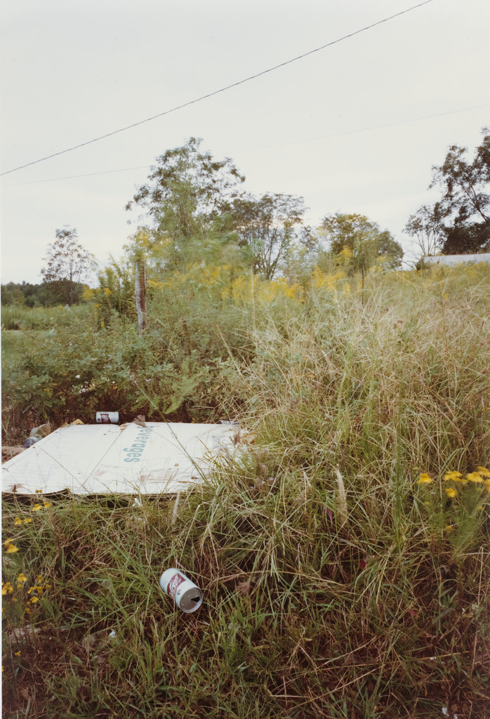 South Edge of Plains, Georgia