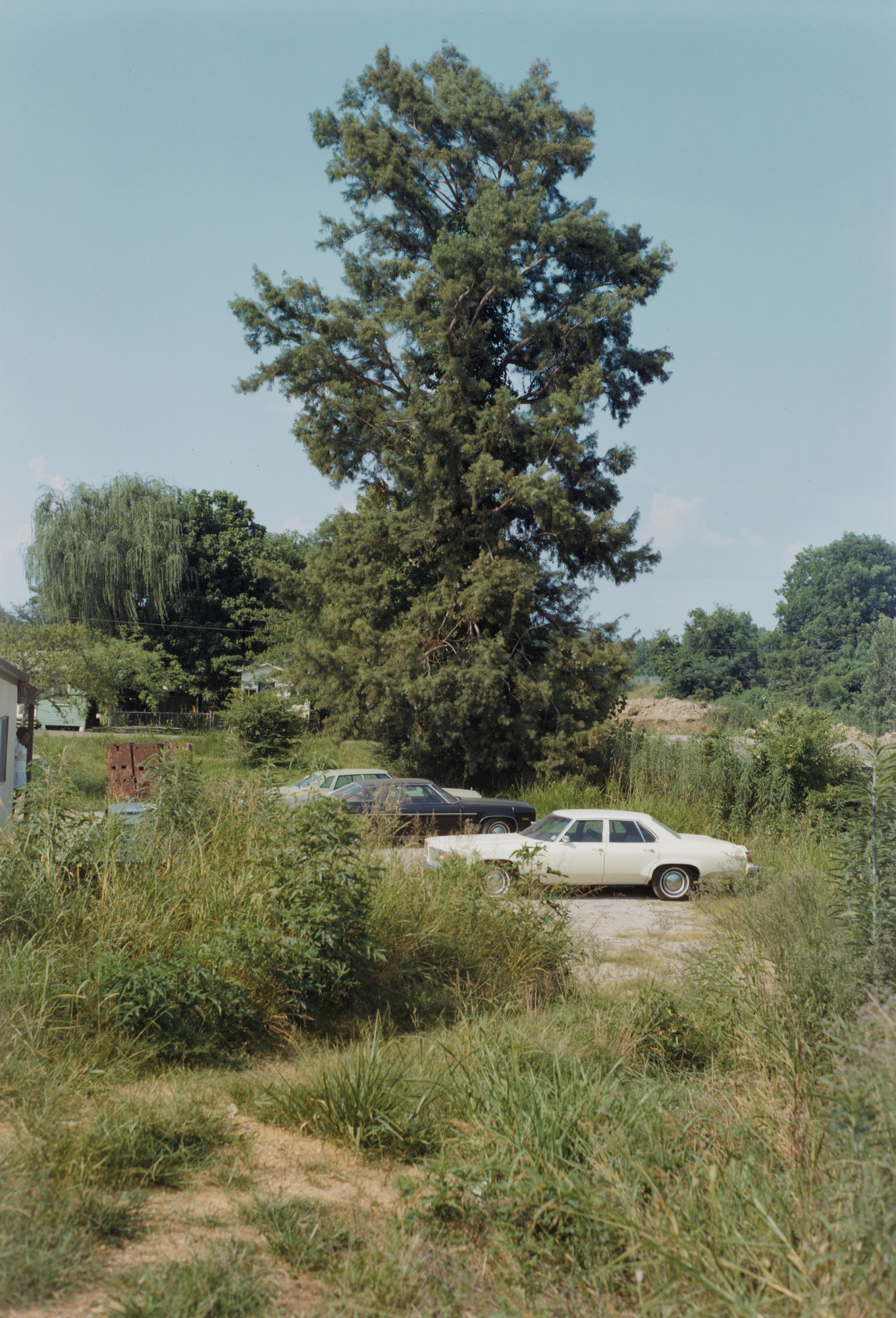 William Eggleston. Mississippi
