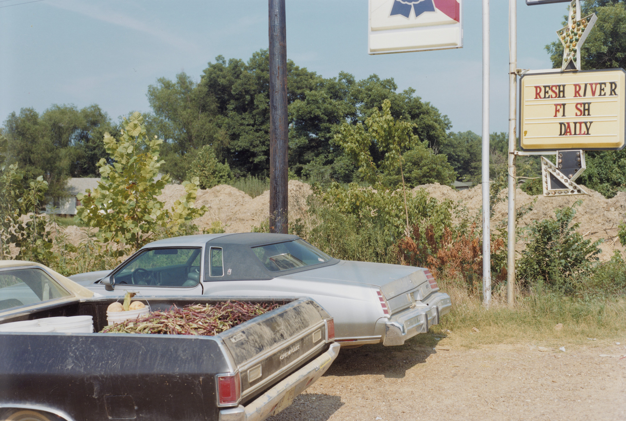 William Eggleston. Mississippi